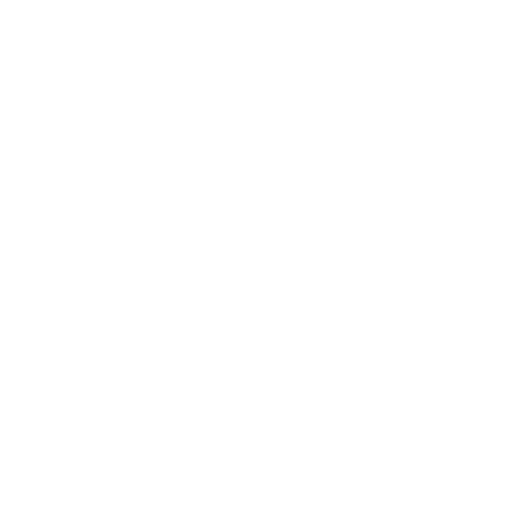 Nxt Level Logo